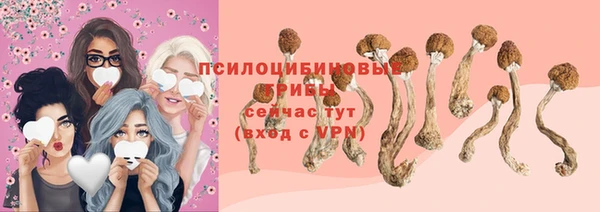 марки lsd Абаза