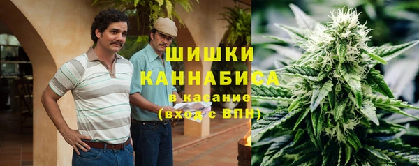 ПСИЛОЦИБИНОВЫЕ ГРИБЫ Богородицк
