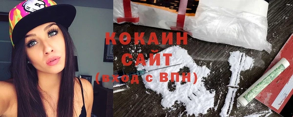бошки Бородино