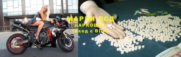 крисы Верея